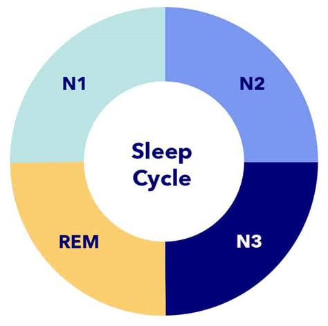The 4 Stages Of Sleep — Cycles Phases And Improvement Sleepopolis