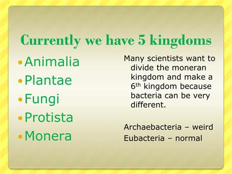 Ppt Kingdoms And Classification Powerpoint Presentation Free