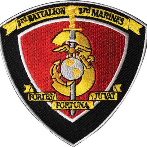 3rd Battalion 3rd Marines Patch Sgt Grit