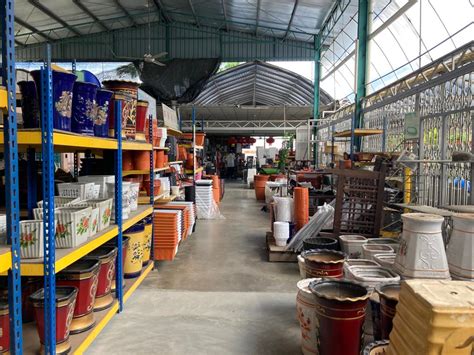 Jadi semua bisa di dapat dari harga yang sangat murah sampai harga yang sangat mahal. Kedai Pokok Bunga Murah di Banting, Selangor - Azwar Syuhada