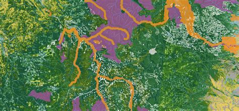 Forest Management Forest Mapping Using Gis