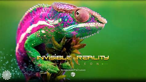 Invisible Reality Chameleon Youtube