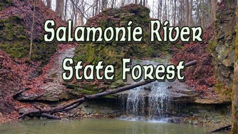 Exploring Salamonie River State Forest Youtube