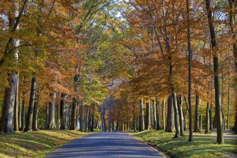 Best Times And Places To View Fall Foliage In Maryland 2017