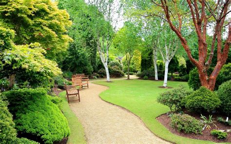 What Are The Basics Of Modern Landscape Design With Pictures
