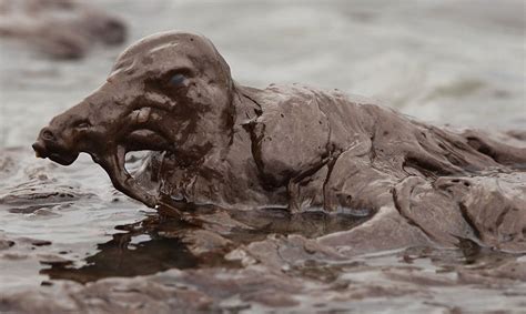 22 Heartbreaking Photos Of Pollution That Will Inspire You To Recycle