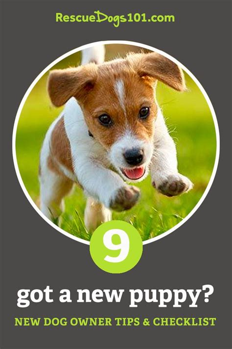First Time Dog Owners Guide Checklist And Tips Dogs And Kids Dog