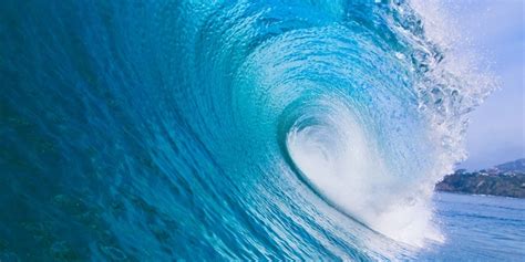 Todd strasser'in gerçek olaylardan esinlenen ve 1981 yılında piyasaya çıkan the wave isimli kitabından uyarlandı. The meaning and symbolism of the word - «Wave»