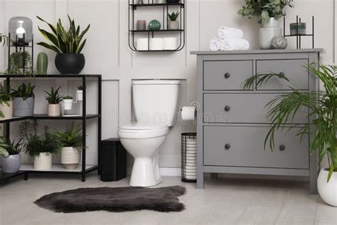 Stylish Bathroom Interior With Toilet Bowl And Many Beautiful