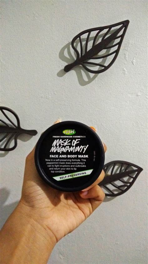 Succinct rundown of fresh face masks. My Review - Lush Mask of Magnaminty