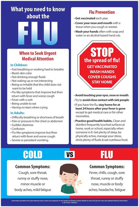 Flu Poster What You Need To Know About The Flu Poster