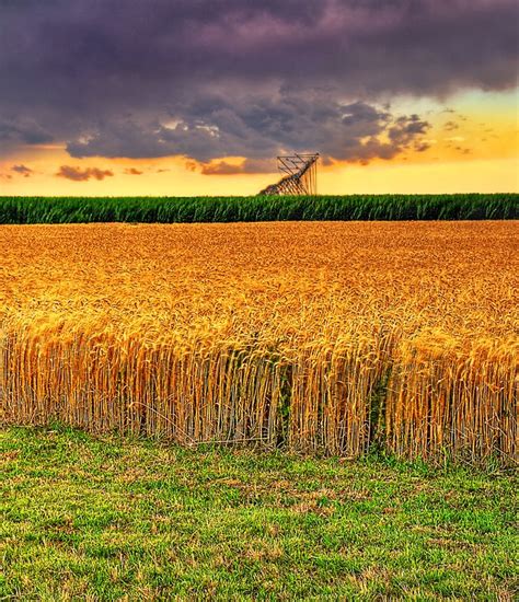 A Large Field Full Of Green Grass Under A Cloudy Sky With A Silo In The