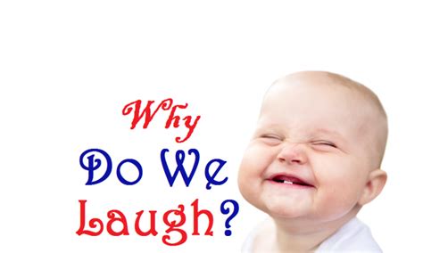 Why Do We Laugh Ayblog Why Do We Laugh Best Funny Pictures Laugh