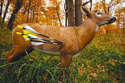 Bowhunting Practice Tips North American Whitetail