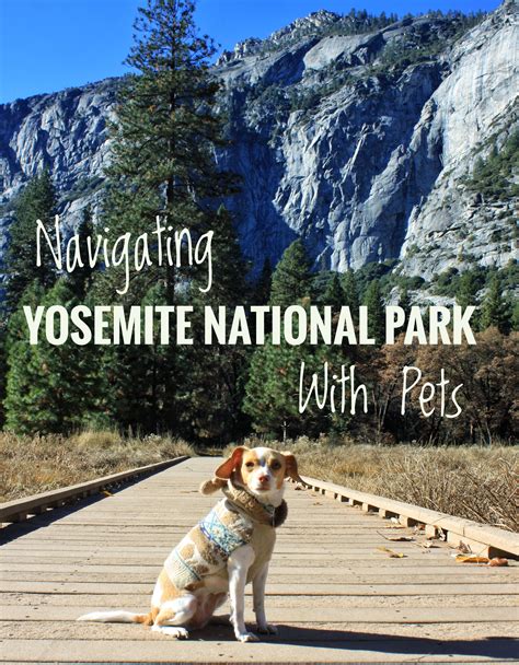 Planning to explore Yosemite National Park with pets. Make sure to read