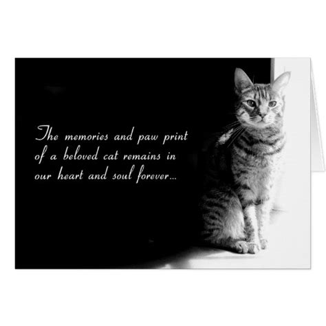 Sympathy Card For The Loss Of A Beloved Pet Cat