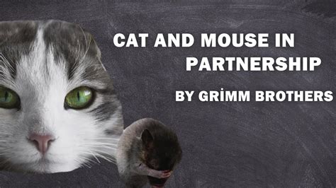 Cat And Mouse In Partnership Grimms Fairy Tales To Listen The