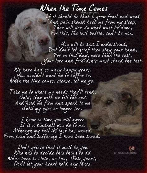Pin By Diana Waggoner Shurbet On Cani Dogs Dog Poems Dog Quotes Pet