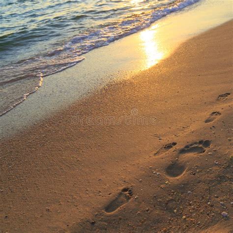 118 Child Adult Footprints Stock Photos Free And Royalty Free Stock