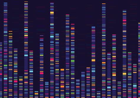 Genomisch Daten Visualisierung Gen Kartierung DNA Sequenzierung