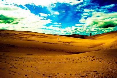 Dunes Bear Sleeping Sand Lake Desktop 4k