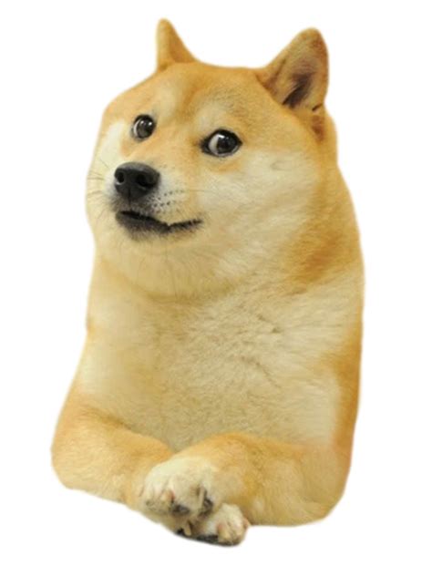 Update Dogecoin Transparent Png Archive Needs Your Help Shibes R