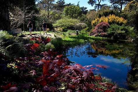 The beautifully designed san francisco botanical gardens are in golden gate park. Botanical Garden fee isn't keeping visitors away - San ...
