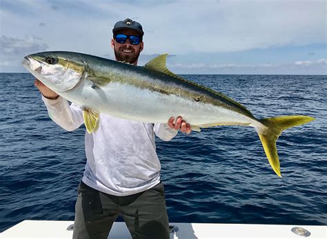 Fish Report Dana Point Fishing Private Charters