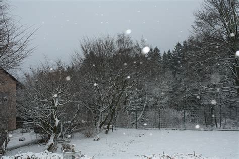 Der schnee taut, und auf den beeten erscheinen die ersten blumen. Es schneit, es schneit, kommt alle aus dem Haus… - KJG St ...