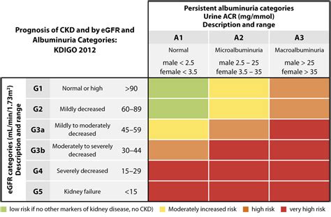 The Detection And Management Of Patients With Chronic Kidney Disease In