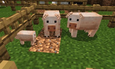 Minecraft Animals Resource Packs Klosports