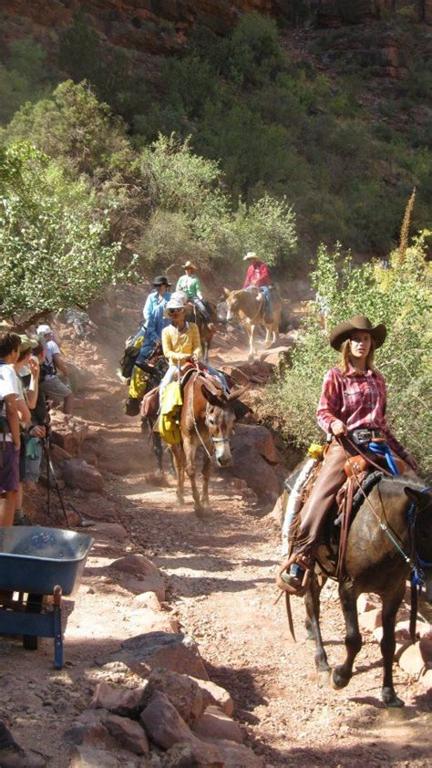 Didn't plan ahead and make reservations? Grand Canyon Trip (Summer 2012) | Trip to grand canyon ...
