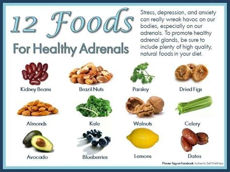 Adrenal Body Type Diet Dietzc