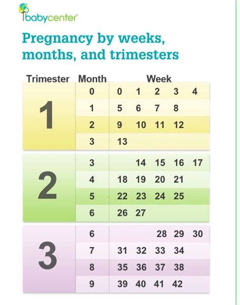 Pregnancy Week Calculator Based On Due Date Haleemaajias