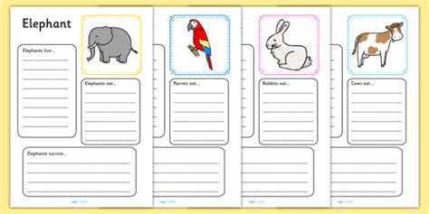 Animal Fact File Activity Sheets Primary Resource