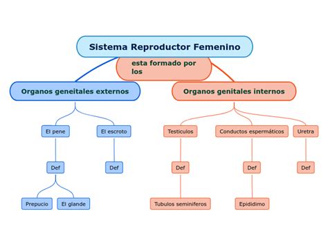 Sistema Reproductor Femenino Mind Map