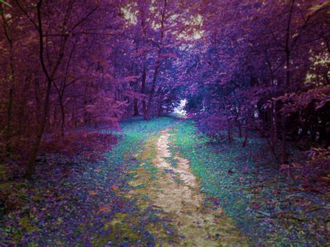 Purple Autumn Wallpaper By Nathaliebrookman Ba Free On Zedge