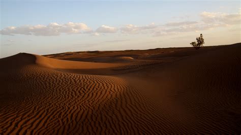 Download 2560x1440 Wallpaper Desert Sand Sunset Sky Dual Wide