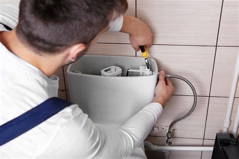 Most common condo plumbing issues. What Are the Common Toilet Plumbing Problems and How to Do ...