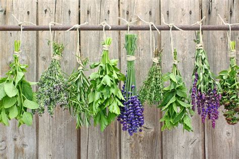 Various Herbs Stock Photo By ©rikohlan 11389519