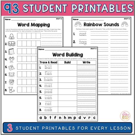 1st Grade Word Study Assessments And Word Lists Bundle Editable