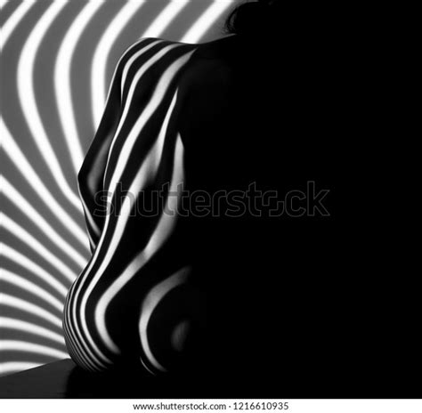 Nude Woman Sexy Artistic Black And White Line Art Photo
