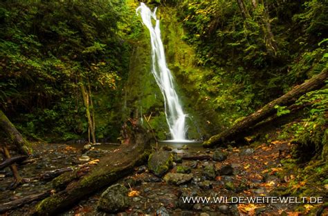 Madison Falls Olympic National Park Wilde Weite Welt De