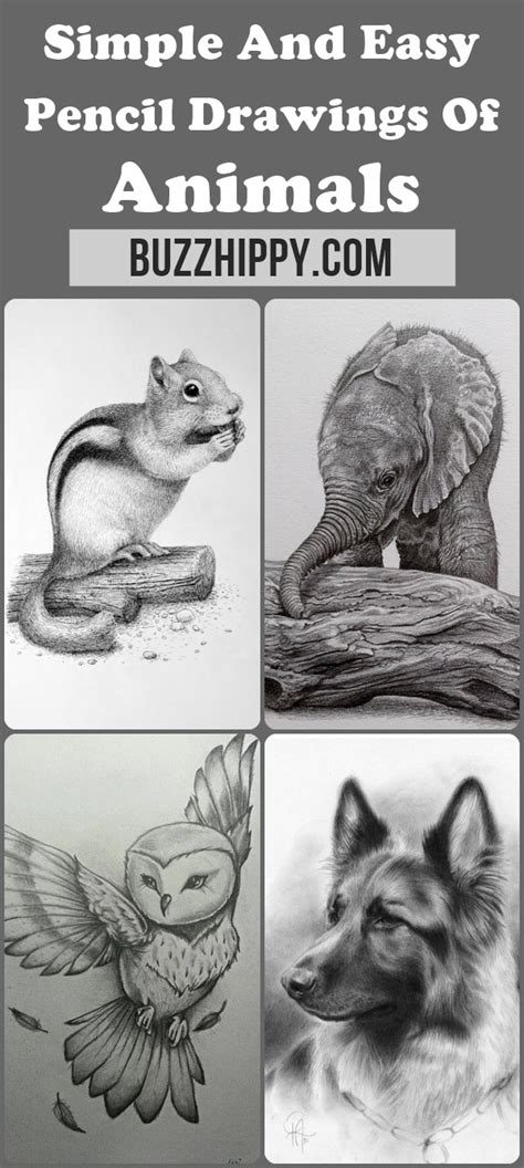 Beginner Cool Animal Drawings Easy Here Are Some Easy Animal Drawings