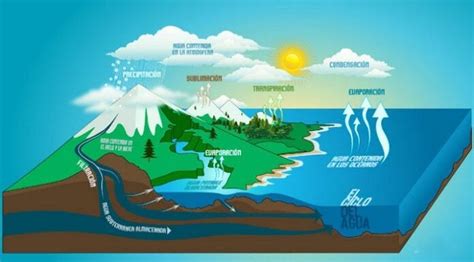Cuáles Son Los Ciclos Biogeoquímicos