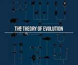 Theory Evolution Explained Photos
