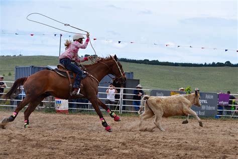 Riding Near Competition Lasso Cattle Day Herbivorous Horse