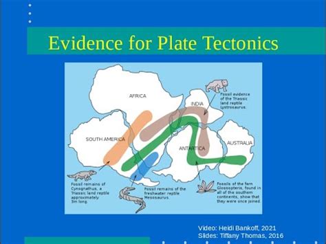 Evidence Of Plate Tectonics Youtube