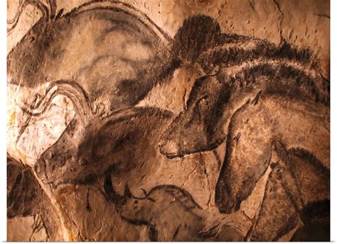 Poster Print Wall Art Entitled Stone Age Cave Paintings Chauvet