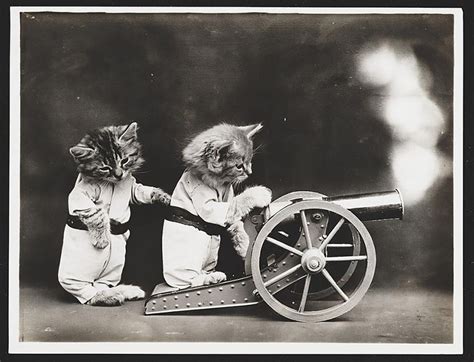 But the x is silent, also known as i live in spain, refers to a series of snowclone memes based on changing the meaning of a certain statement by the s is silent. the tweet (shown below) received over 124,700 retweets and 356,100 likes in one year, with its screenshots being widely circulated. The Best Photography April Fools' Jokes of 2016